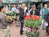 18-05-2011 opzoomeren plantjes winkelcentrum beverwaard