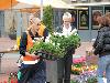 18-05-2011 opzoomeren plantjes winkelcentrum beverwaard