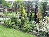 16-07-2011  tropische tuin nieuwe aanplant door bewoners van eckartstraat/maurickerf/complex52 beverwaard
