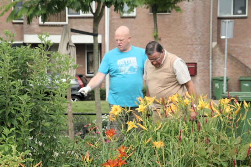 16-07-2011  tropische tuin nieuwe aanplant door bewoners van eckartstraat/maurickerf/complex52 beverwaard