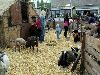  15-09-2012  najaarsbraderie/wijkfeest winkelcentrum/wijkpark beverwaard 