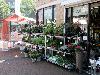 11-08-2012 rommelmarkt winkelcentrum beverwaard