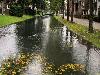 13-10-2013 HOOG WATER IN DE BEVERWAARD DIVERSE SINGELS EN PLASSEN STAAT HET WATER HEEL HOOG