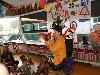 11-11-2013 Aanstaande maandag, 11 november, is onze hoofdleidster, Marion Löbker 25 jaar in dienst.op de rk regenboog grondvelderf beverwaard.