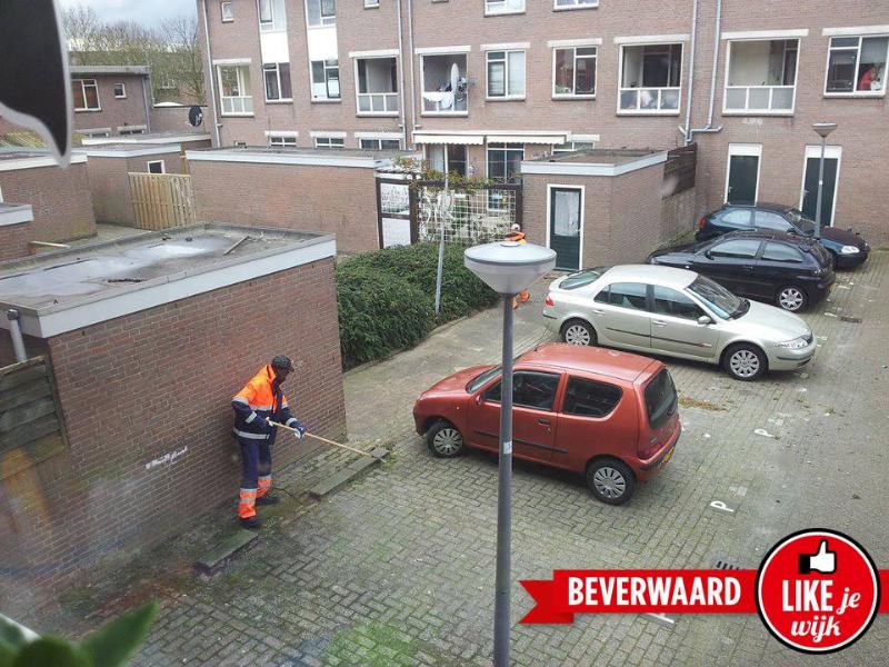 likejewijk foto