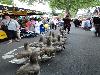  25-06-2014 paardenmarkt oudijsselmonde. 