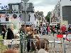 | 25-06-2014 paardenmarkt oudijsselmonde. 