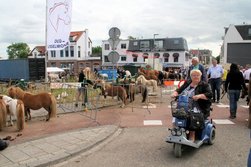 | 25-06-2014 paardenmarkt oudijsselmonde. 