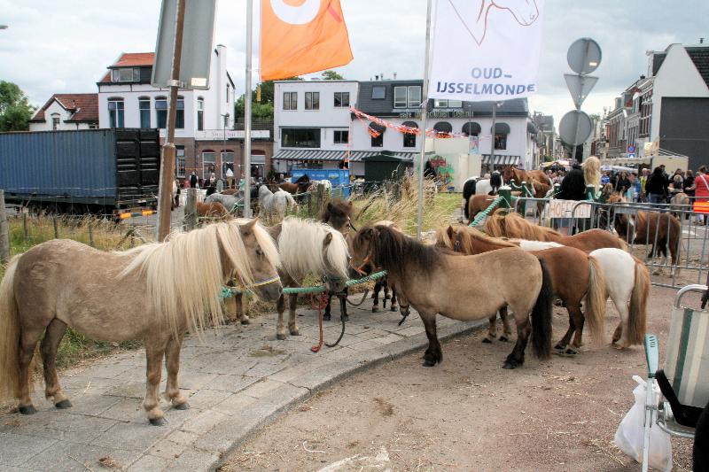 | 25-06-2014 paardenmarkt oudijsselmonde. 