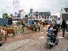 | 25-06-2014 paardenmarkt oudijsselmonde. 