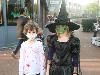 1-11-2014 HALLOWEEN BEVERWAARD