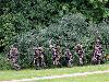 12t/m15juny korps mariniers oefening beverwaard bron:stormpolder