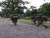 12t/m15juny korps mariniers oefening beverwaard bron:noes noes