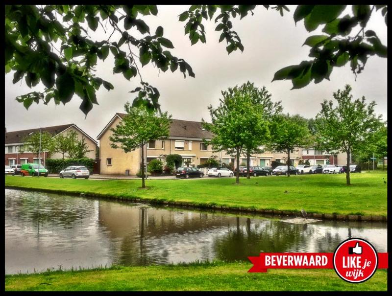 likejewijk 2016 met duim of met logo beverwaard