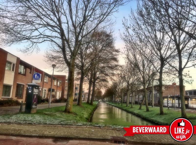likejewijk 2016 met duim of met logo beverwaard......