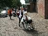 ouderen 4 daagse in de beverwaard 04-07-2016 eerste etape tweede dag-derde dag-en vierde dag komen ook hier te staan alle dagen vertrekken vanaf ijsselburg schinnenbaan beverwaard