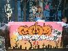 29-10-2016 Halloween 2016 In De BEVERWAARD