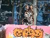 29-10-2016 Halloween 2016 In De BEVERWAARD