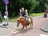 29-06-2016 paardenmarkt oudijsselmonde