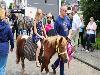 29-06-2016 paardenmarkt oudijsselmonde