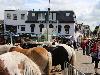 29-06-2016 paardenmarkt oudijsselmonde