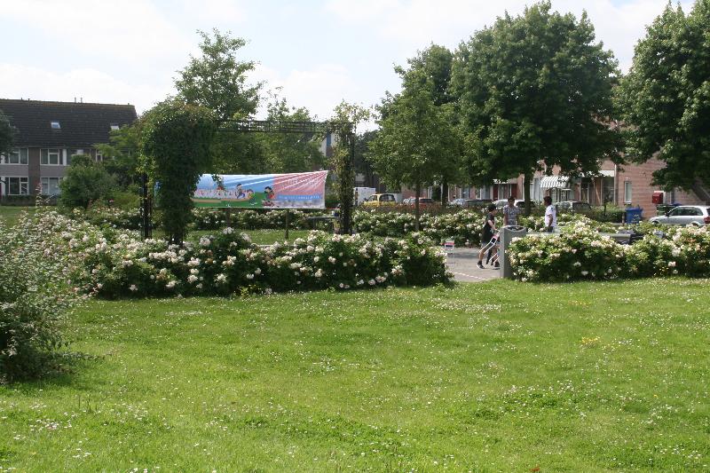 9-7-2016 de fam:temple waren weer druk aan het werk in de tropische tuin snoeien vegen en opruimen eckartstraat beverwaard.