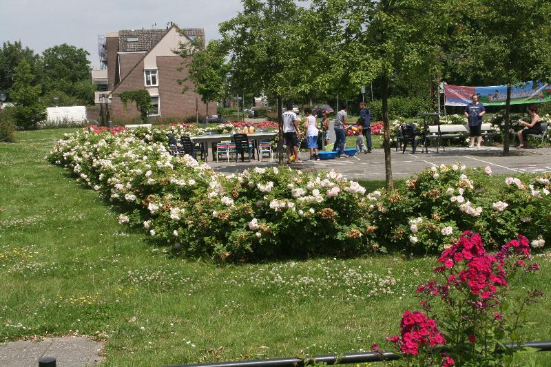 9-7-2016 de fam:temple waren weer druk aan het werk in de tropische tuin snoeien vegen en opruimen eckartstraat beverwaard.