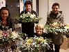 7/8-12-2016 foto