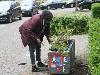 29-04-2017 schoonmaakbende in de goederaadweg start om 14.00uur beverwaard