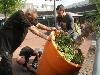 op 24-08-2017 zijn de grote bloempotten in het winkelcentrum beverwaard gekanteld om er aan de onderkant een gat  in te kunnen boren zodat het water wat er in bleef staan te kunnen afvoeren en dat is gelukt door 3 sterke kerels.