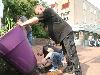 op 24-08-2017 zijn de grote bloempotten in het winkelcentrum beverwaard gekanteld om er aan de onderkant een gat  in te kunnen boren zodat het water wat er in bleef staan te kunnen afvoeren en dat is gelukt door 3 sterke kerels.
