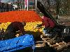 12-03-2018 gekleurde bollen in het winkelcentrum op het plein komt een speelplek voor de kinderen beverwaard