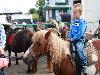 27t/m30-06-2018 foto paardenmarkt oud ijsselmonde