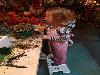 8-11-18 kerstpakketten actie in doet effe mee cafe oudewatering beverwaard