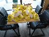 19-12-18 sponsoring oliebollen kerstpakketten actie in doet effe mee cafe oudewatering beverwaard