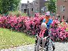 dag2 2--7-2019 foto ouderen4daagse in de beverwaard