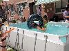 | 29-6-19 waterpret aan de onsteinpad  