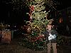 11-12-19 kerst in de beverwaard van kersboom plaatsen tot verlichting in de straten toe