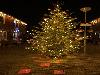 15-12-20 kerstverlichting in de beverwaard