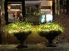 kerst in de beverwaard 16-11-20