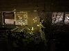 15-12-20 kerstverlichting in de beverwaard