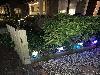 15-12-20 kerstverlichting in de beverwaard