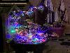kerst in de beverwaard 16-11-20