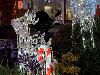 kerst in de beverwaard 16-11-20
