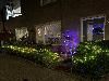 10-11-20 KERST 2020 IN DE BEVERWAARD 