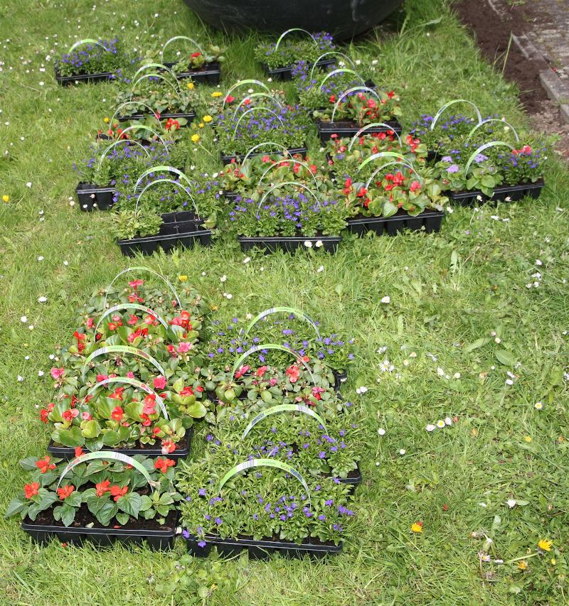 3-5-21 plantjes uitdelen aan bewoners ijsselburgh en plantjes zetten in de tuin van de ijsselburgh gesponsort door woonbron en VRIENDEN VAN IJSSELBURGH humanitas skillskitchen