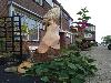 1-11-2019 kunst werk arend uitgezaagd van boom stronk cannenburg straat