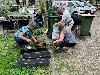 | 5-6-21 plantjes plaatsen alerdincksingel  