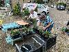 | 5-6-21 plantjes plaatsen alerdincksingel  