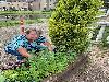 | 5-6-21 plantjes plaatsen alerdincksingel  